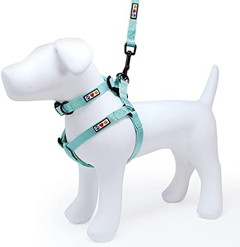 Комплект Pawtitas Value Пакет Set | Среден Стъпка в Кучешки изделия + Нашийник за кучета средни + Каишка за кучета, среден/Голям размер дължина от 6 фута - Синьо-Set